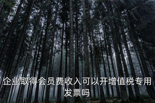 會(huì)費(fèi)收入開(kāi)什么票，協(xié)會(huì)能開(kāi)哪些發(fā)票