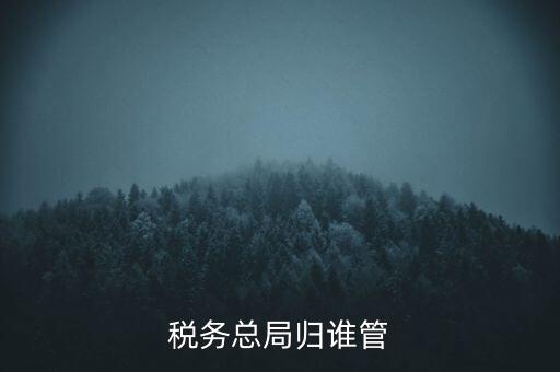 什么部門(mén)監(jiān)管國(guó)稅務(wù)局，稅務(wù)局最怕什么部門(mén)