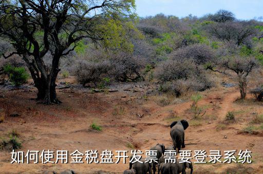 金稅盤要求什么系統(tǒng)，稅控發(fā)票開(kāi)票軟件 需要什么系統(tǒng)