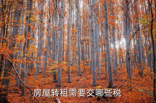 轉(zhuǎn)租房屋需要交什么稅，房屋轉(zhuǎn)租需要交哪些稅