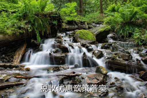 納稅人政策落實需求有什么，如何落實稅收優(yōu)惠政策