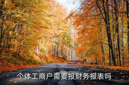 個體戶都需要申報什么表，個體工商戶需要報財務報表嗎
