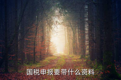 國稅注冊需要什么資料，國稅登記需要帶什么資料
