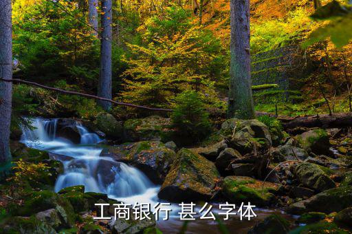 工商銀行用的是什么字體，中國工商銀行的標志里面的字母是什么字體