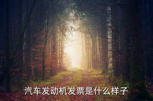 國稅出的機動車發(fā)票是什么樣的，汽車發(fā)動機發(fā)票是什么樣子