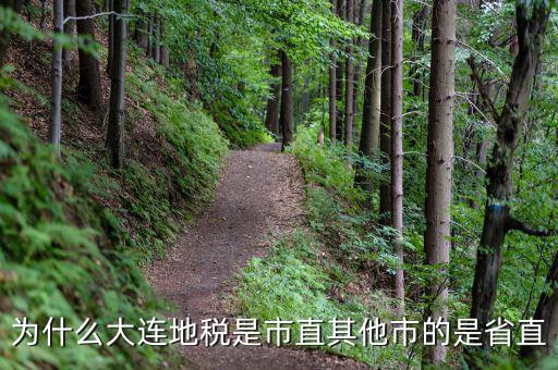 大連地稅局局長(zhǎng)叫什么，大連地稅局的客服電話是多少