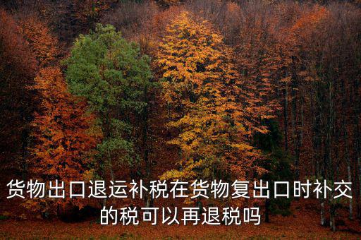 貨物出口退運(yùn)補(bǔ)稅在貨物復(fù)出口時補(bǔ)交的稅可以再退稅嗎