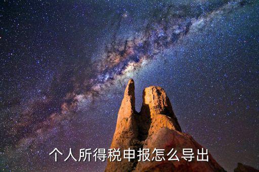 個人所得稅申報怎么導出