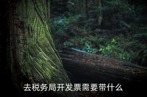 紹興市國(guó)稅購增值稅發(fā)票需要帶什么，到稅務(wù)局開增值稅專用發(fā)票帶什么