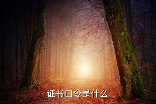 新稅盤(pán)證書(shū)口令是什么意思，金稅盤(pán)口令有什么用