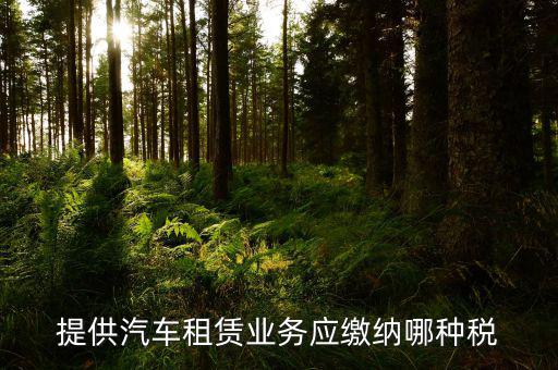 個人出租汽車給公司交什么稅，個人車輛租給公司個稅怎么交