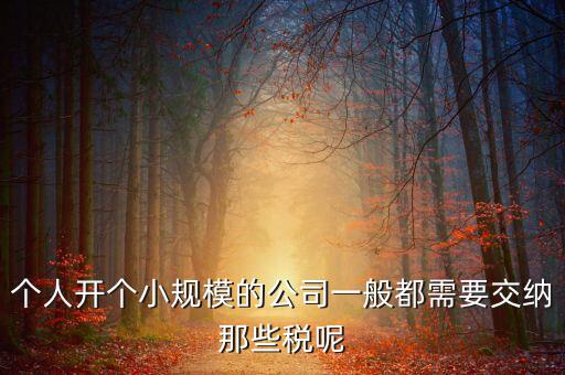 個人開辦水廠需要什么稅，自來水公司的水廠要交房產(chǎn)稅和土地使用稅嗎