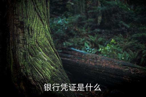 銀行劃款憑證是什么，銀行憑證是什么