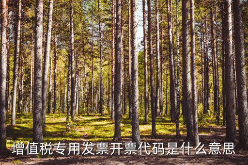 開票人代碼是什么，開票人代碼是什么