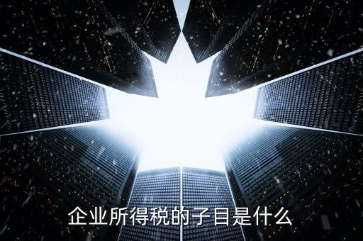 企業(yè)所得稅征收品目是什么，征收品目是什么