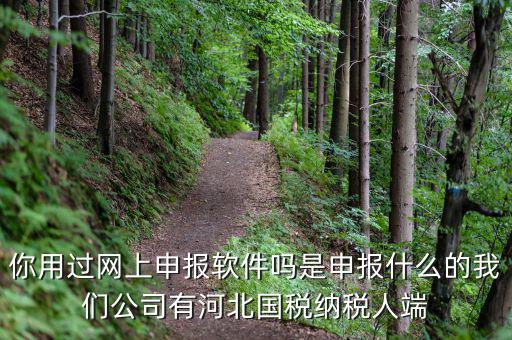你用過網(wǎng)上申報軟件嗎是申報什么的我們公司有河北國稅納稅人端