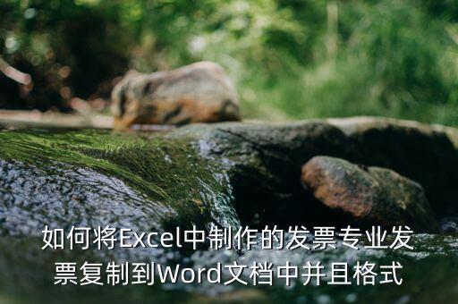 如何將Excel中制作的發(fā)票專(zhuān)業(yè)發(fā)票復(fù)制到Word文檔中并且格式