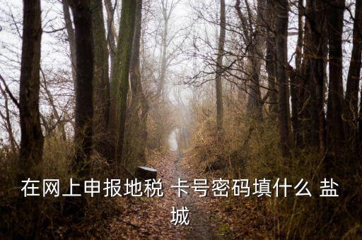 在網上申報地稅 卡號密碼填什么 鹽城