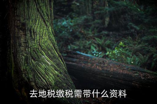 無錫地稅需要帶什么材料，去地稅繳稅需帶什么資料