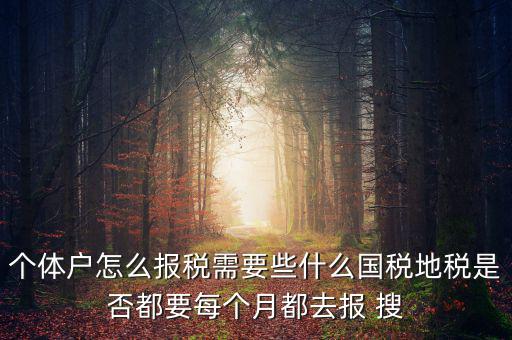 個(gè)體戶報(bào)稅都報(bào)什么，個(gè)體戶怎么報(bào)稅需要些什么國稅地稅是否都要每個(gè)月都去報(bào) 搜