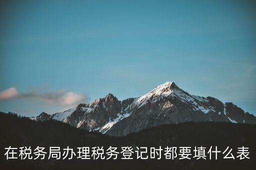 去稅務局登記需要什么資料，辦理稅務登記證都需要提供什么資料