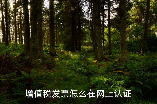 發(fā)票認(rèn)證需要什么軟件下載，國稅發(fā)票認(rèn)證需要準(zhǔn)備那些資料 到大廳辦的時候工作人員叫我拿U盤
