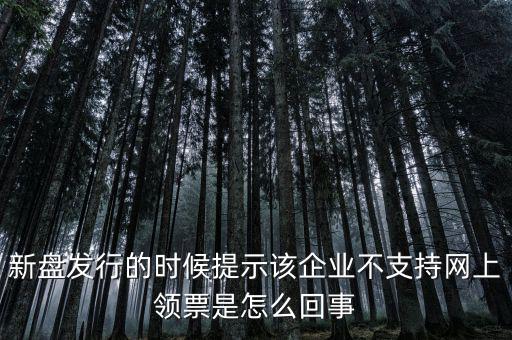 新盤(pán)發(fā)行的時(shí)候提示該企業(yè)不支持網(wǎng)上領(lǐng)票是怎么回事
