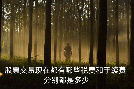 賣(mài)出股票要交什么稅，營(yíng)改增后企業(yè)買(mǎi)賣(mài)股票應(yīng)按照什么稅目繳納增值稅