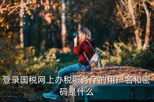 陜西電子稅務(wù)局登錄賬號是什么，登錄國稅網(wǎng)上辦稅服務(wù)廳的用戶名和密碼是什么