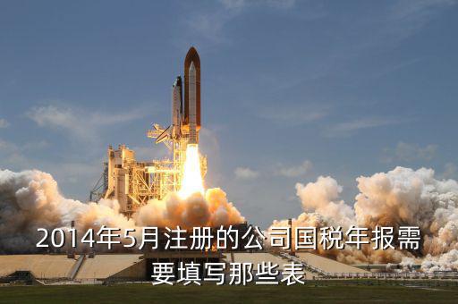 國稅年度申報(bào)填什么表，國稅年度報(bào)表怎么填啊