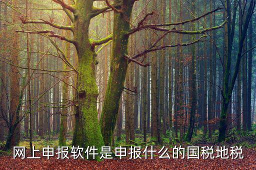 國稅微信申報什么意思，國稅網(wǎng)上申報怎么回事