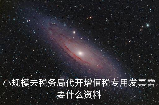 小規(guī)模去稅務(wù)局代開(kāi)增值稅專用發(fā)票需要什么資料