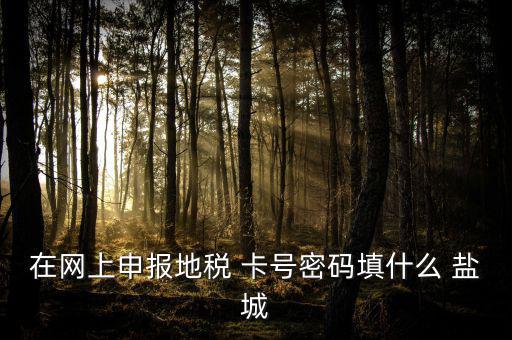微信申報(bào)地稅的密碼是什么，地稅申報(bào)的用戶名和密碼是什么