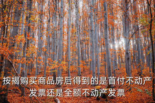 什么是全額不動(dòng)產(chǎn)發(fā)票，想問(wèn)一下購(gòu)房全額發(fā)票到底是什么的侯才開是在交房的時(shí)侯還是辦