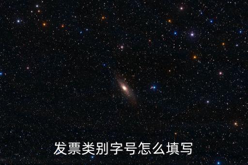 餐飲發(fā)票是什么字體，發(fā)票類別字號(hào)怎么填寫
