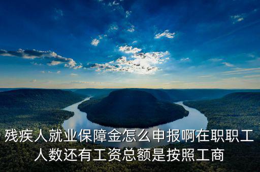 殘疾保證金什么申報，殘疾人就業(yè)保障金怎么申報啊在職職工人數(shù)還有工資總額是按照工商