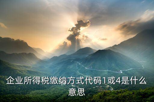 征收代碼是什么意思，工商所開的非稅收入收款收據(jù)上的代碼是什么意思