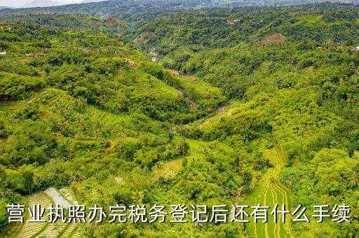 稅務(wù)登記以后需要什么，公司設(shè)立后辦理稅務(wù)登記要準備哪些資料