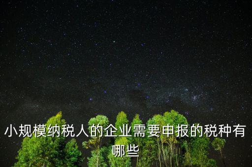 國稅小企業(yè)報什么稅，無錫 一般納稅人 小企業(yè)納稅人 國稅 地稅 分別要報哪些