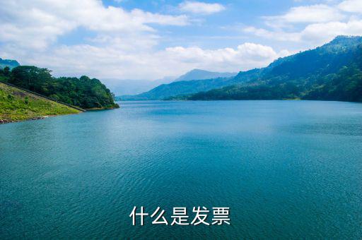 默認(rèn)發(fā)票是什么，蘇寧天貓旗艦店默認(rèn)開取什么發(fā)票