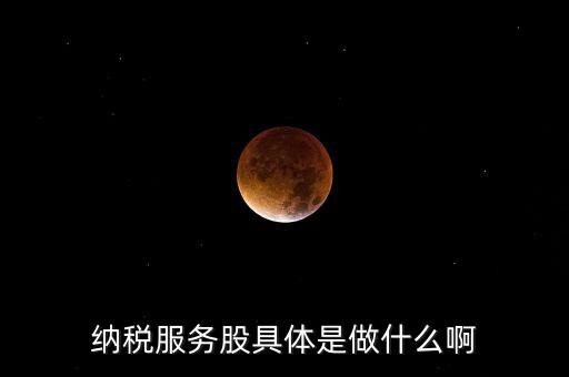納稅服務股具體是做什么啊
