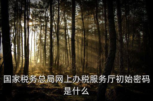 江蘇地稅登錄密碼是什么意思，江蘇地稅開票密碼是多少