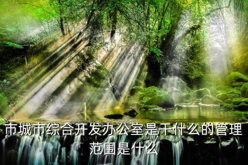 市通發(fā)辦是什么，市兩辦指什么