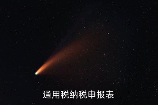 通用申報表稅什么意思，通用稅納稅申報表