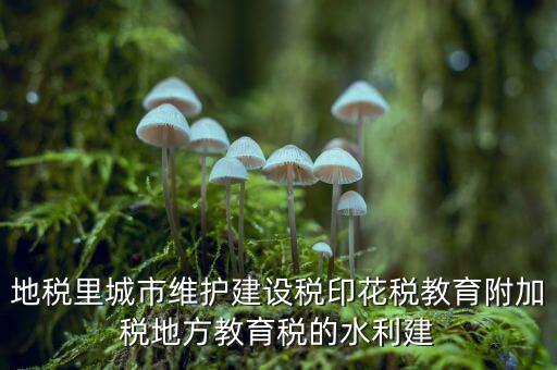 水利建設(shè)基金的計(jì)稅基礎(chǔ)是什么，計(jì)稅基礎(chǔ)是什么意思