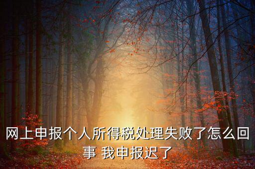 稅款處理失敗什么意思，扣繳稅款失敗提示銀財(cái)通處理失敗FAPP00444要怎樣處理才可以扣款