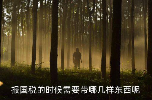報(bào)國稅的時(shí)候需要帶哪幾樣?xùn)|西呢