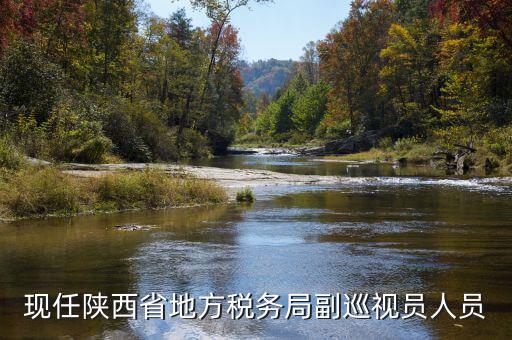 稅務(wù)局調(diào)研員是什么，一個(gè)縣區(qū)的稅務(wù)系統(tǒng)的局長(zhǎng)職位是調(diào)研員還是主任科員