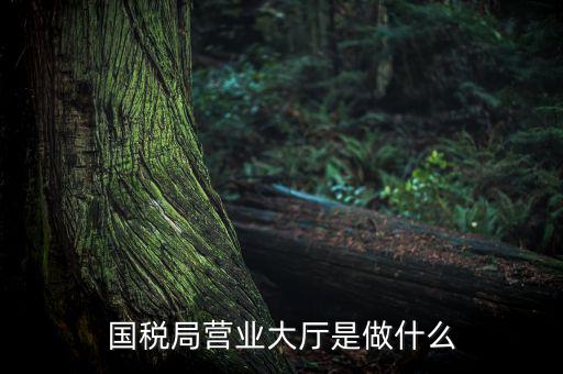 國(guó)稅局營(yíng)業(yè)大廳是做什么