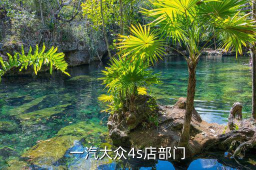 宋蘭去什么部門了，國家稅務(wù)總局的副局長宋蘭身體很豐滿